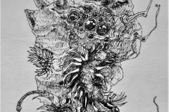 Helga, Tuschezeichnung, 11 x 16 cm
