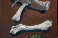 Stillleben mit Knochen und Moos