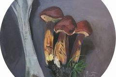 pilze